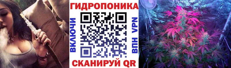Канабис Bruce Banner Дыгулыбгей